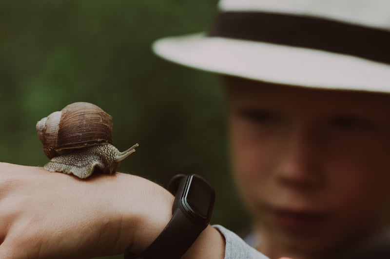 Career Exploration